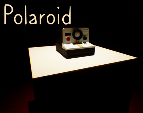 Polaroid Image