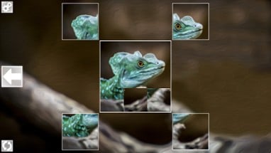 Puzzle Art: Reptiles Image