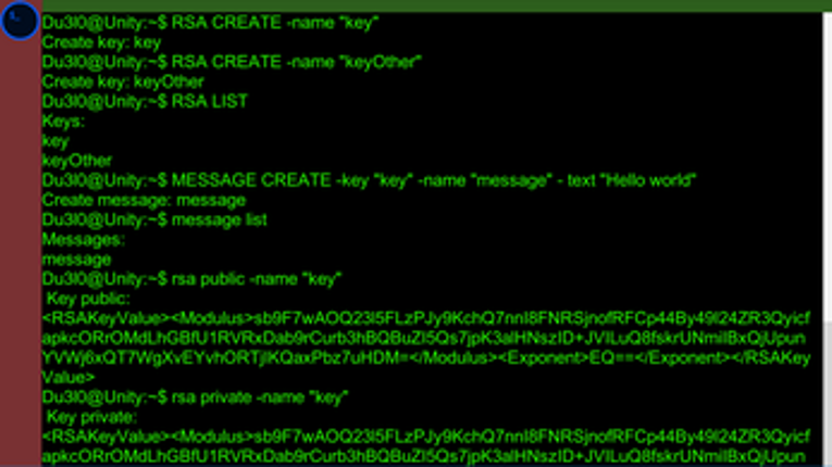 Terminal Unity with RSA Image