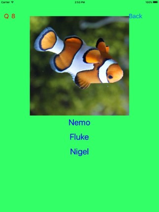 Who Is This ? for Nemo &amp; Dory screenshot