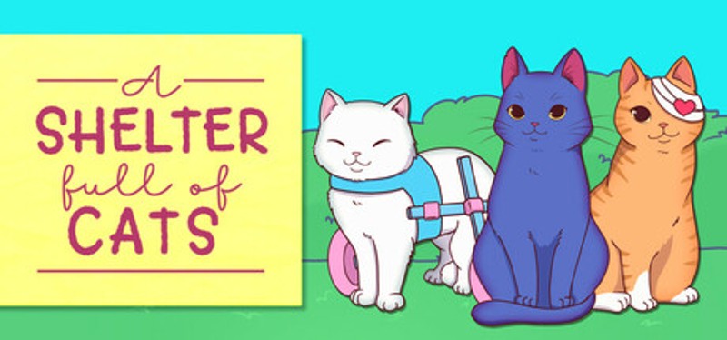 A Shelter Full of Cats Image