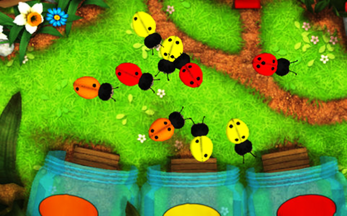 T10 Ladybugs 1 Image