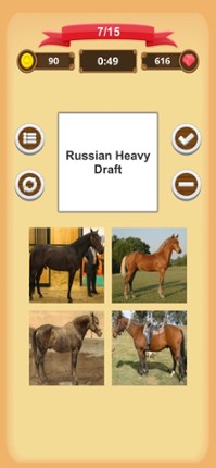 Horse Quiz Image