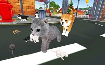 Kitten Cat Craft Vs Dog 3D Sim Image