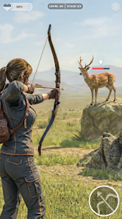 Archery Hunt Animal Hunting 3D Image