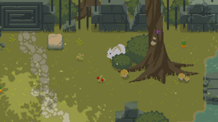 Bunny Forest Image