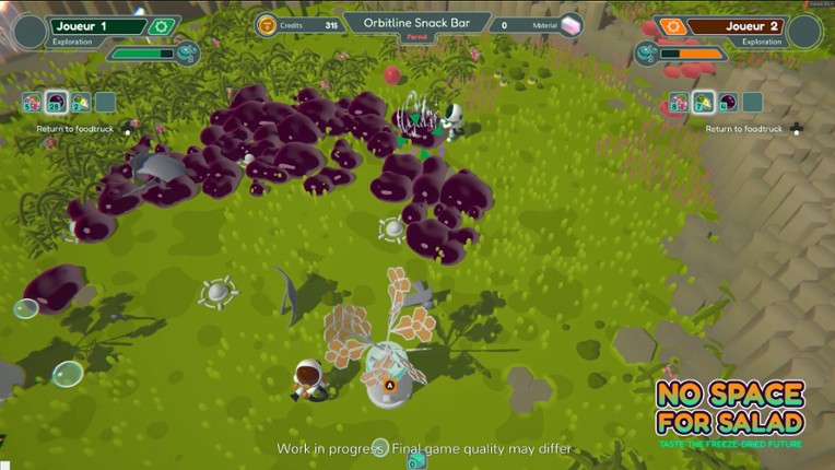 No Space For Salad Image