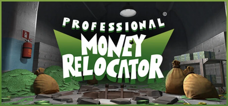Professional Money Relocator Image