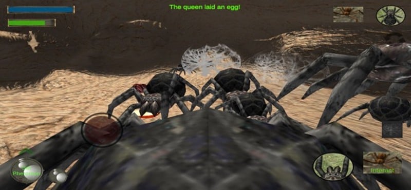 Spider Colony Simulator screenshot