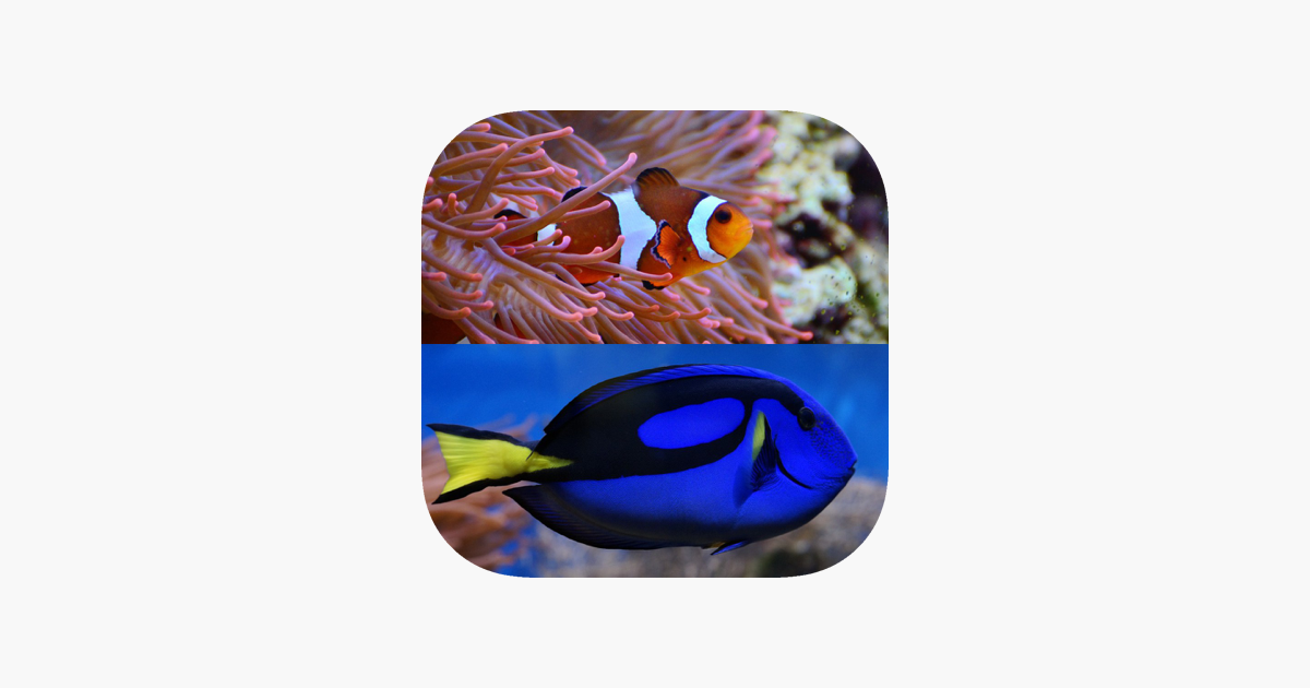 Games like Who Is This ? for Nemo & Dory