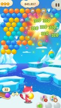 Bubble Fizzy - wonderland shooter rescue cute babies Image