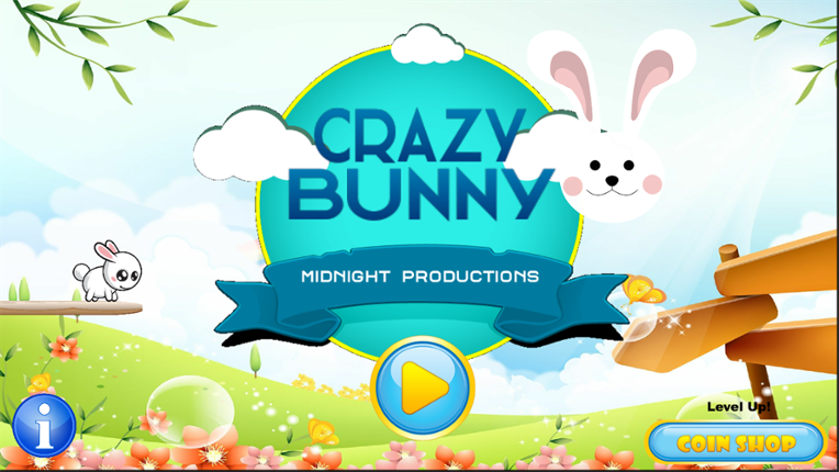 Crazy Bunny Image