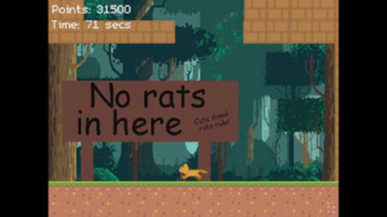 Feline Fury screenshot