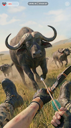 Archery Hunt Animal Hunting 3D Image