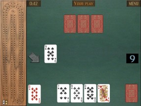 GrassGames Cribbage for iPad Image