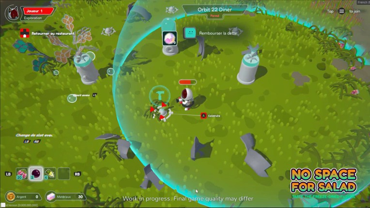 No Space For Salad screenshot