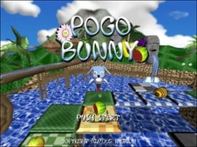 Pogo Bunny Image