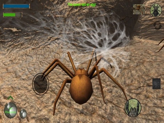 Spider Colony Simulator Image