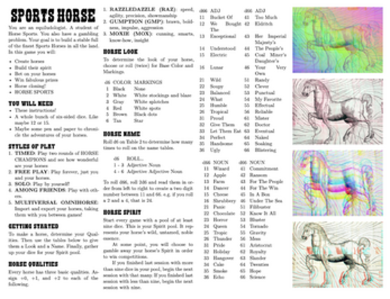 SPORTS HORSE 3.1 screenshot