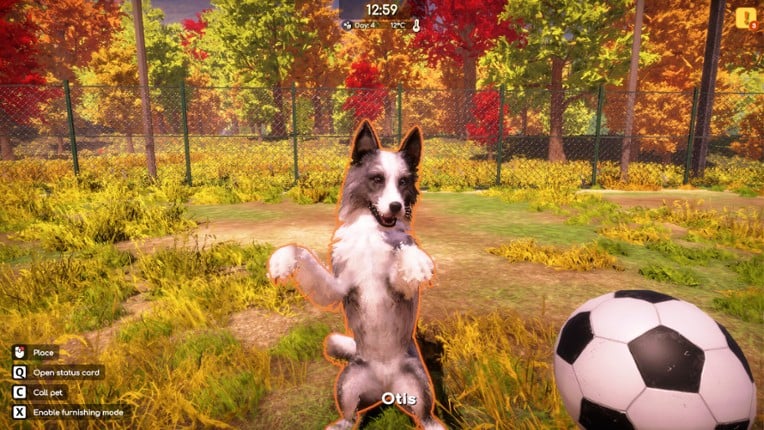 Animal Shelter 2 screenshot