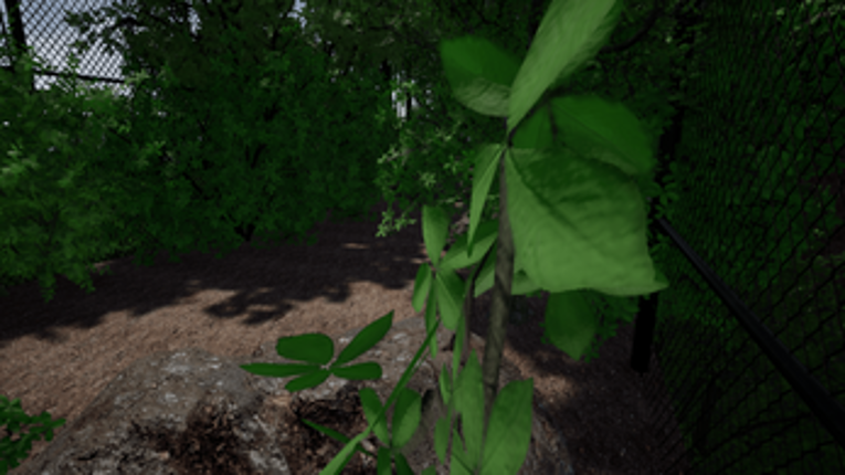 Casus Vita: Runner of Maze screenshot