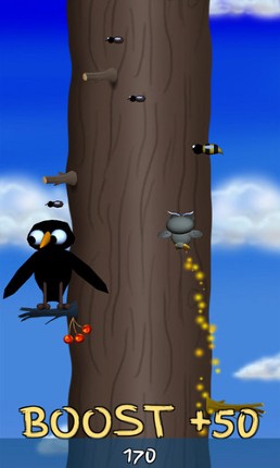 Twirly Birdy Image