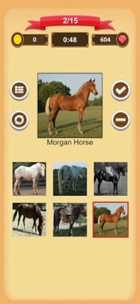 Horse Quiz screenshot