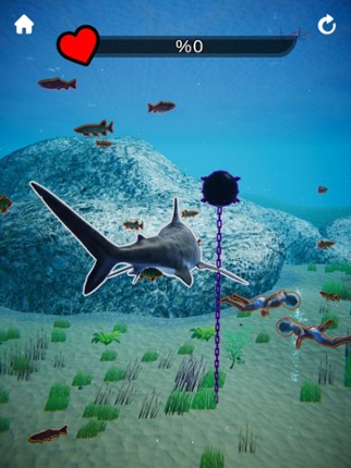 Shark Revenge screenshot