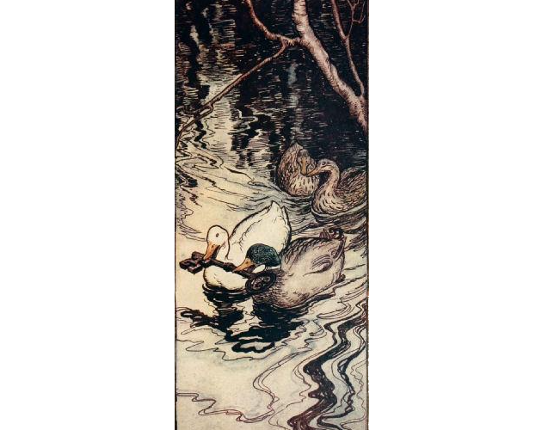 The Ducks Once Saved Image