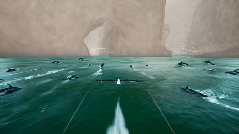 Toroa: Skycall screenshot