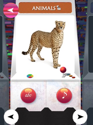 TOY - ZOO Animals And Birds Flash Cards - Free PreSchool Educational Learning Games For Toddlers And Kindergarten Babies screenshot