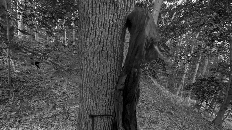 Wardwell House VR screenshot