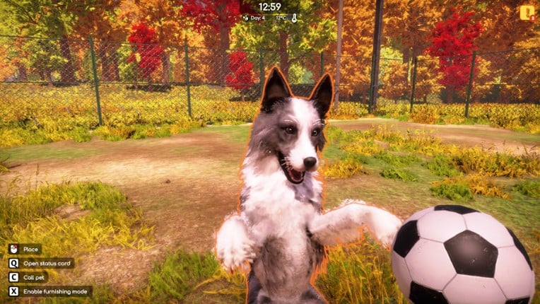 Animal Shelter 2 screenshot