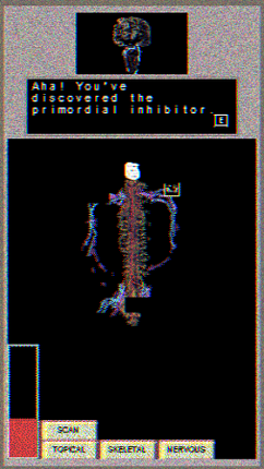 Discover My Body Image