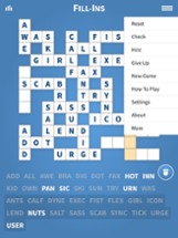 Fill Ins · Word Fit Puzzle Image