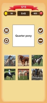 Horse Quiz screenshot