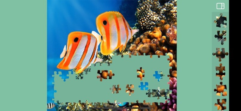 Jigsaw Puzzles Underwater Image