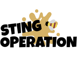 Sting Operation Image