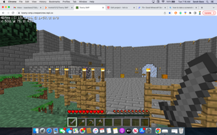 Towny SMP Image