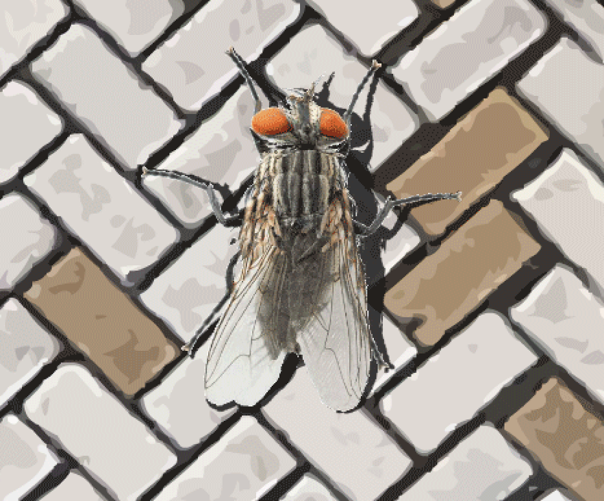 Games like a fly in the array