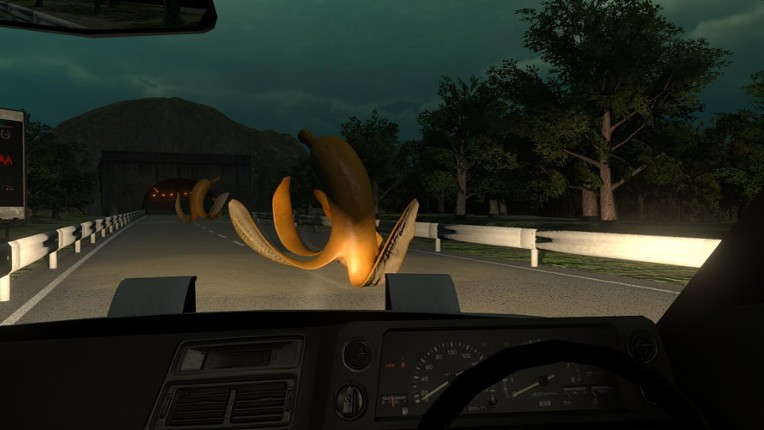 Anomaly Road Image