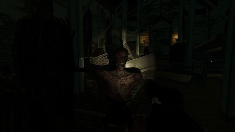 Echoes in the Dark screenshot