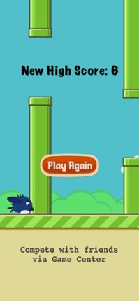 Flip Flap Fly Image