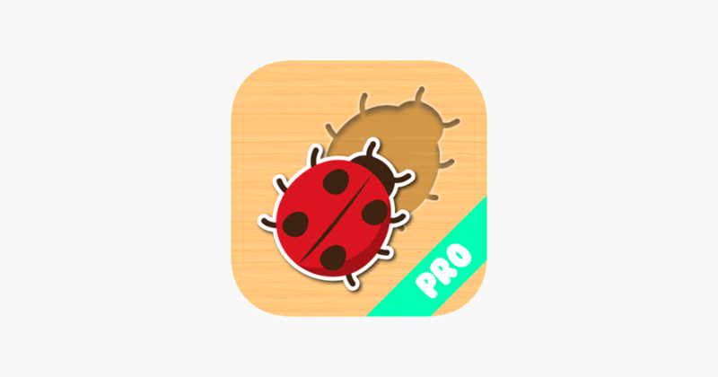 Fun Insect Shape Blocks Puzzle Game Cover