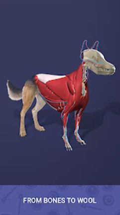 Idle Pet - Create cell by cell screenshot