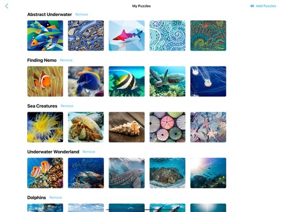 Jigsaw Puzzles Underwater Image