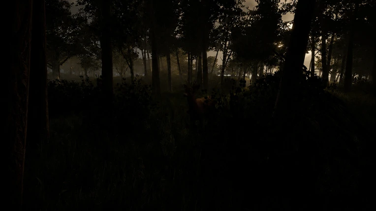 LostMan Image
