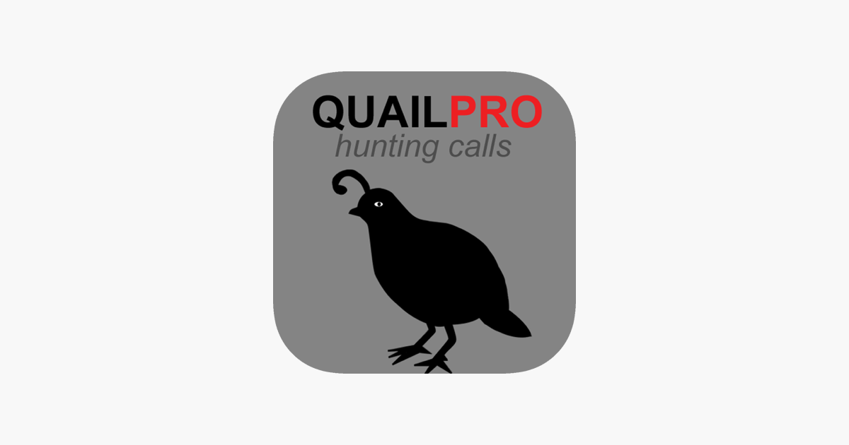 Games like REAL Quail Sounds and Quail Hunting Calls