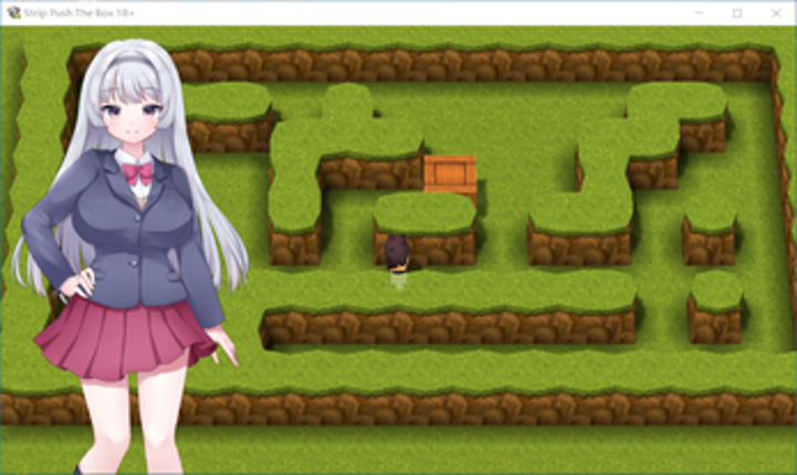 Strip Push The Box 18+ screenshot