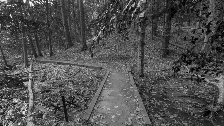 Wardwell House VR screenshot